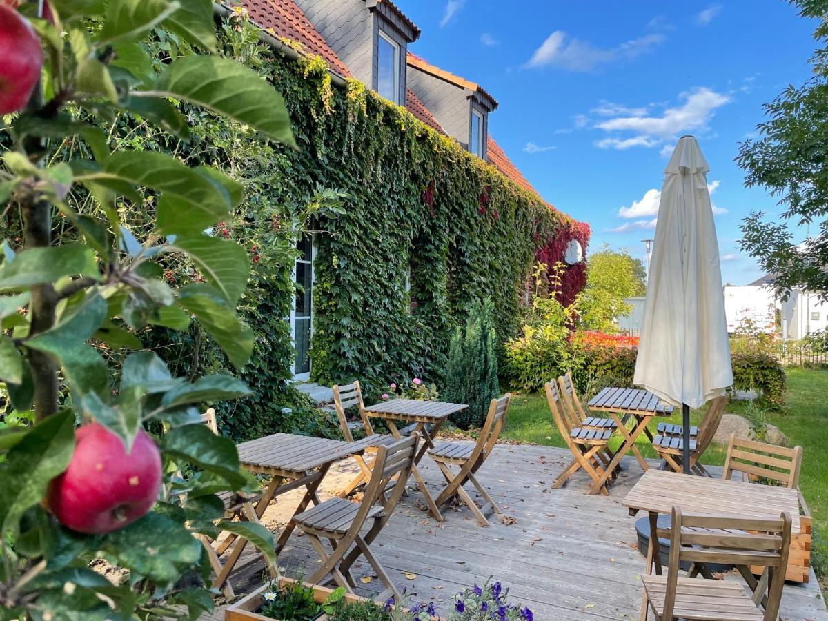 Gastehaus Kleiner Wacholder Hotel Bad Doberan Bagian luar foto